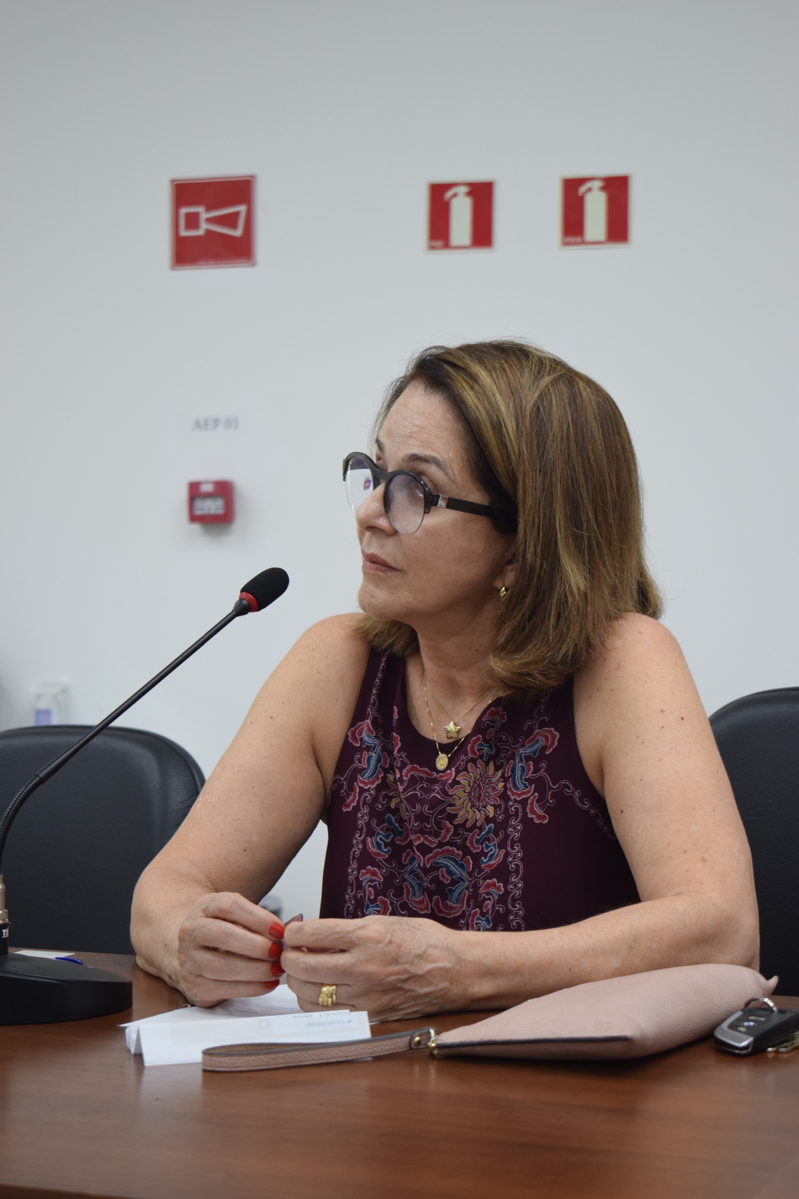 Maria Vicentina Godinho Pereira da Silva